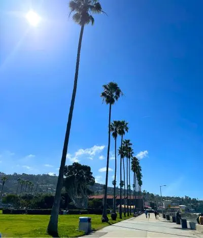 La Jolla Shore Park