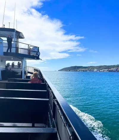 Whale watching cruise