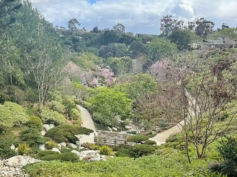 Barboa Park Japanese Garden