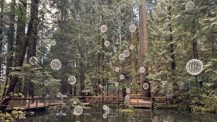 Capilano Suspension Bridge