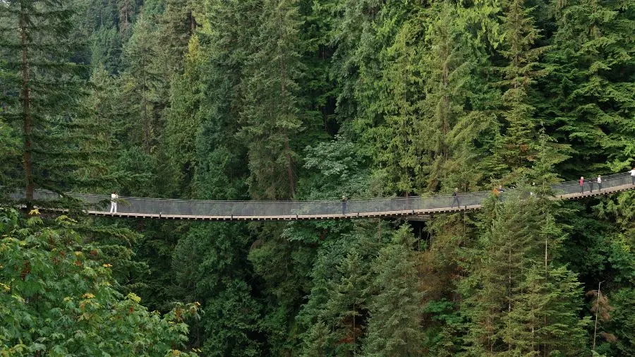 Capilano Suspension Bridge