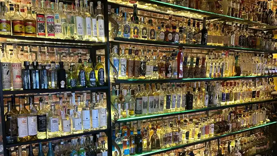 El agave Tequila collection