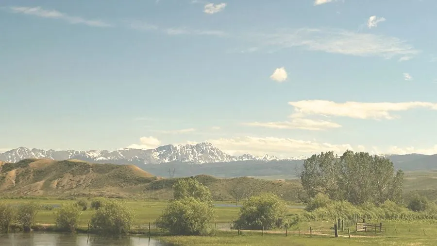 View from train